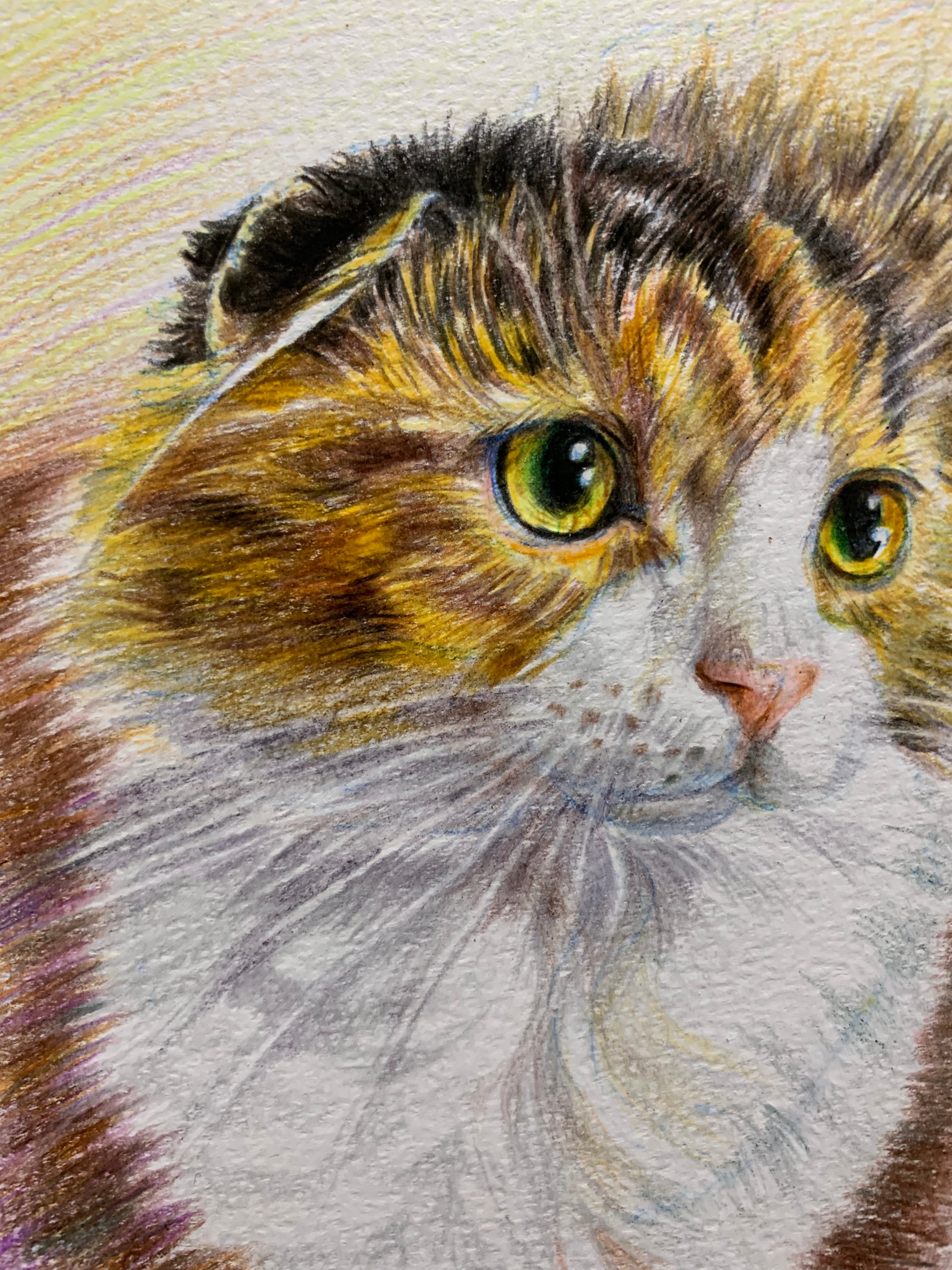 オーダーメイド色鉛筆画(A4サイズ) | ペットの肖像画屋さん