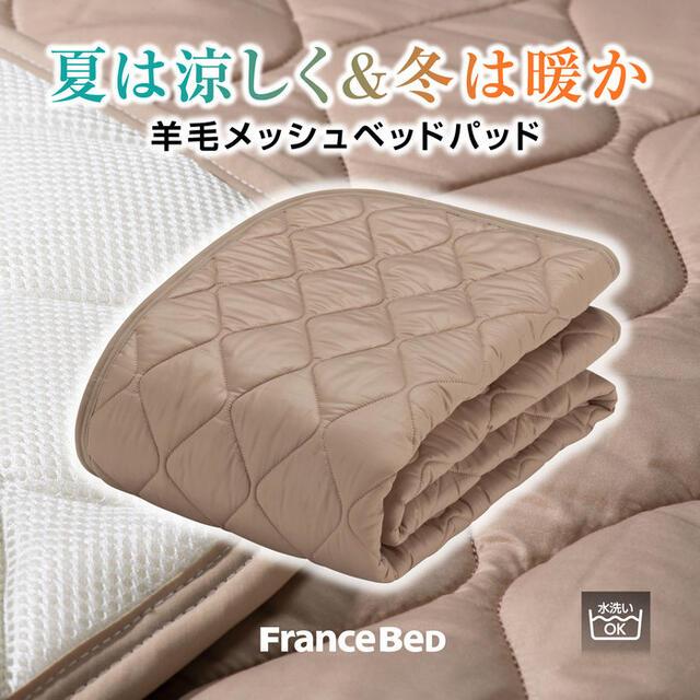 フランスベッド（FRANCEBED） お得な2枚セット オールシーズン対応
