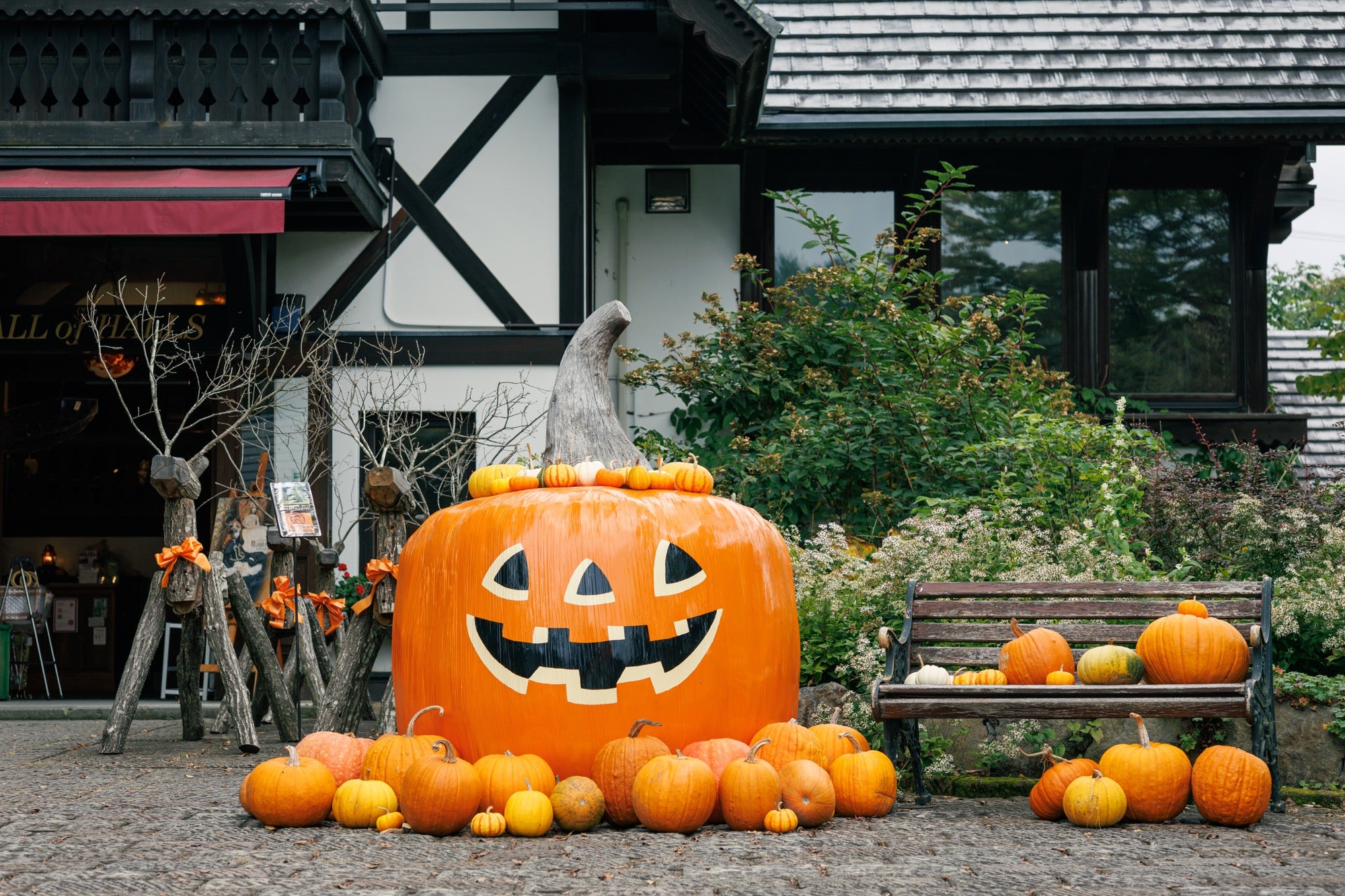 山梨・萌木の村】「萌木の村ハロウィンマンス2024」（10月1日～31日