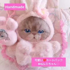 2026年最新】コヤンイサムチョン バッグの人気アイテム - メルカリ